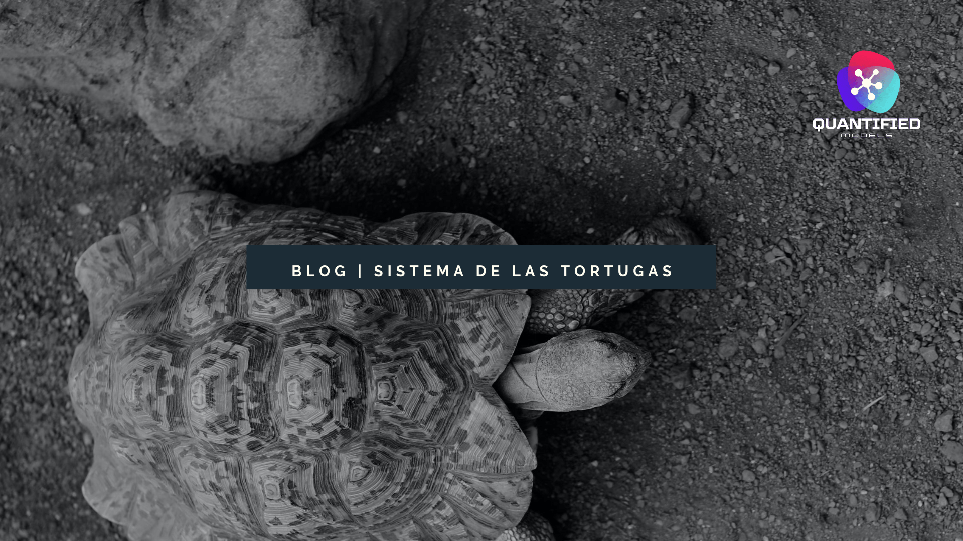 BLOG Algorithmic Trading | Turtle System