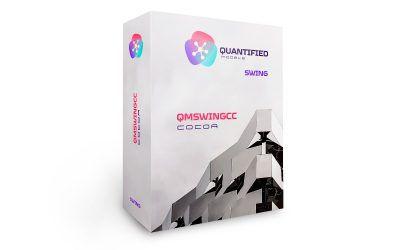QMSwingCC