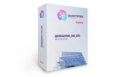 QMSwing_AG_101