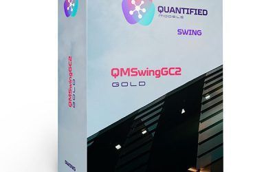 QMSwingGC2
